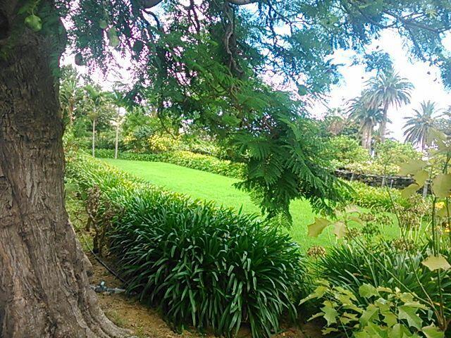 Villa Casita del Medianero Santa Cruz de la Palma  Esterno foto